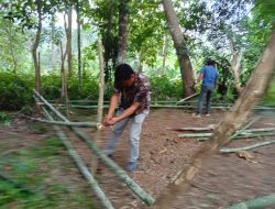 Tak Ada Ruang Bagi Pelaku Sabung Ayam, Polsek Herlang Kembali Gagalkan Sabung Ayam Di Desa Karassing