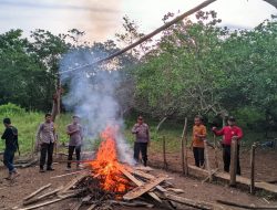 Meski Kerap Berpindah Tempat, Polsek Bontobahari Kembali Temukan Dan Bakar Arena Judi Sabung Ayam