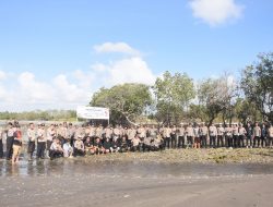 Sambut Hut Humas Polri Ke 72, Polres Bulukumba Tanam 1000 Pohon Mangrove Di Pesisir Tabbuttu.