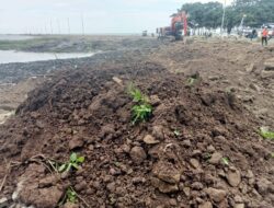 Proyek Jalan Pantai Merpati di Ujung Bulu, Bulukumba Sulsel Terindikasi Tidak Sesuai RAB